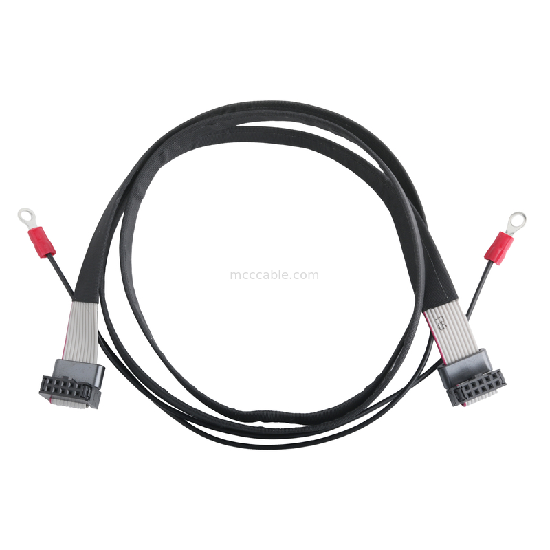 IDC FC-10P ve TER M4 pitch 1.27mm Halkalı telli UL2651 28AWG kablosu ile toprak kablosu bağlantısı OEM/ODM