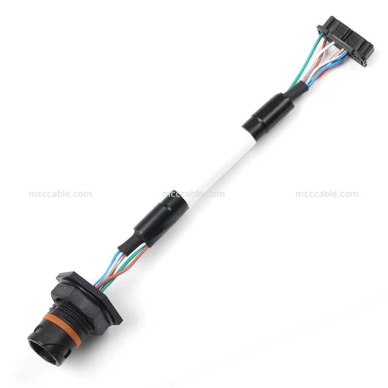 Özel Samtec ACRK-12 Dairesel - Molex Micro-Lock 26-Pin Kablo Grubu | CAT6A