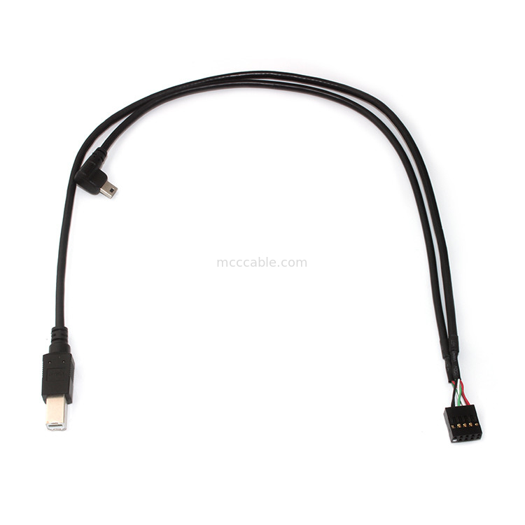 10 Pin 30AWG 2.54mm Aralıklı Molex Kablo Tertibatı 150mm Uzunluk Molex 22-55-2101